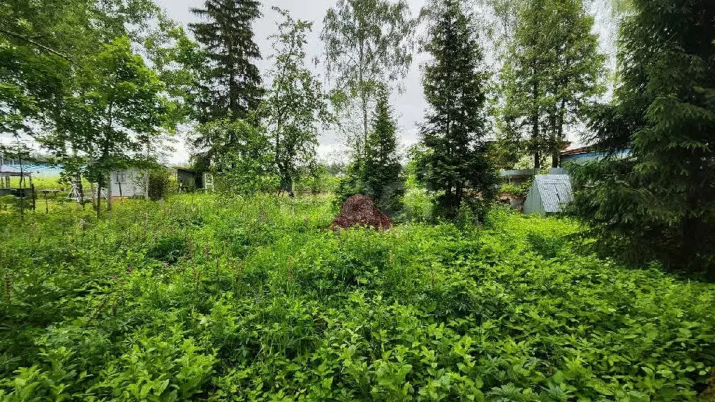 Продается участок в СНТ Жаворонки-Север - Фото 1