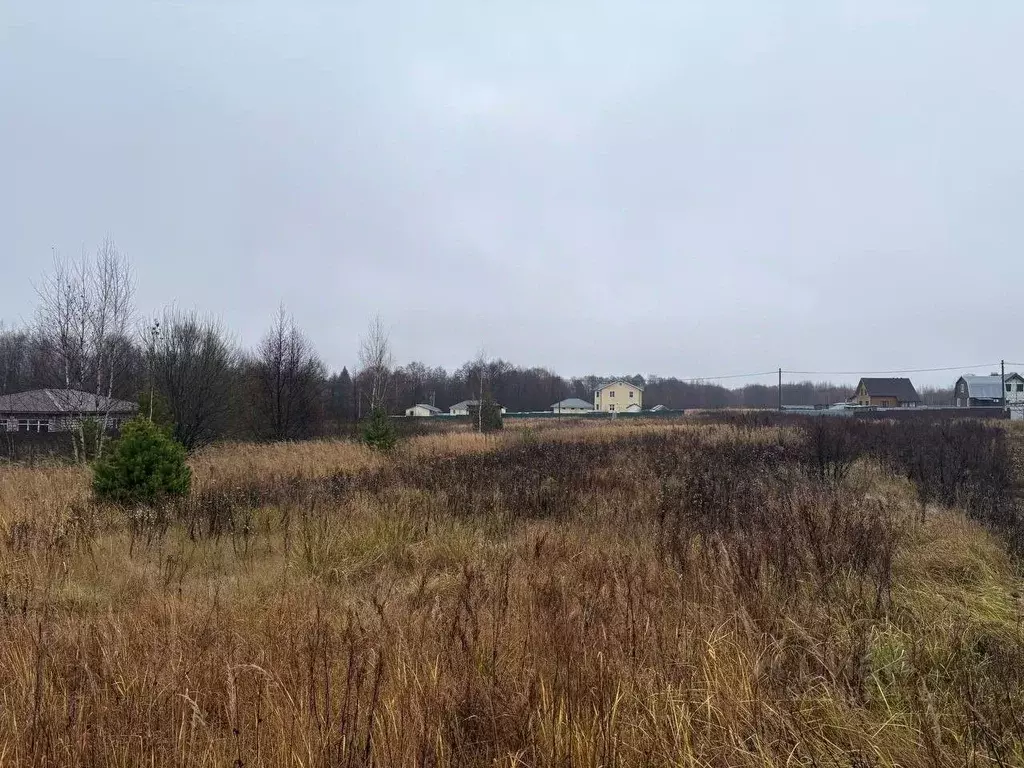 Участок в Московская область, Воскресенск городской округ, Имени ... - Фото 1