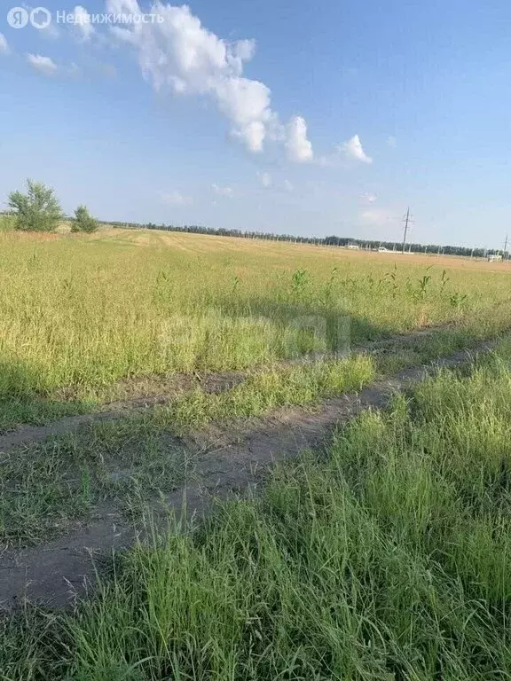 Участок в село Новая Усмань, Севастопольская улица (10 м) - Фото 2