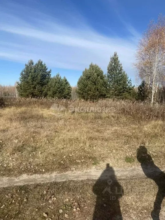 Участок в Тюменская область, Нижнетавдинский район, Ключевское с/пос, ... - Фото 1
