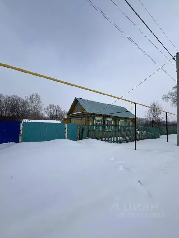 Дом в Татарстан, с. Ютаза ул. Рахманкулова, 17 (30 м) - Фото 0
