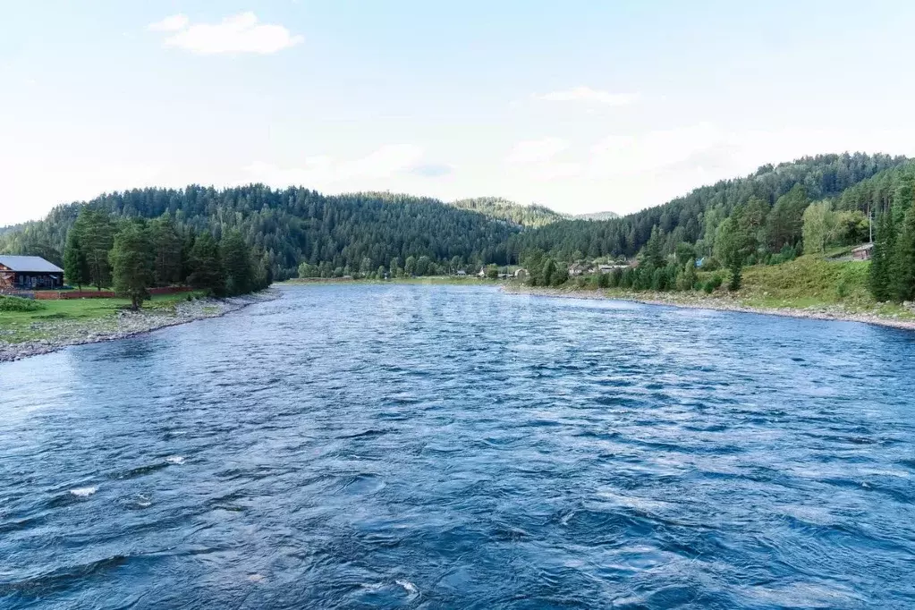 Участок в Алтай, Турочакский район, с. Кебезень Набережная ул. (20.0 ... - Фото 1