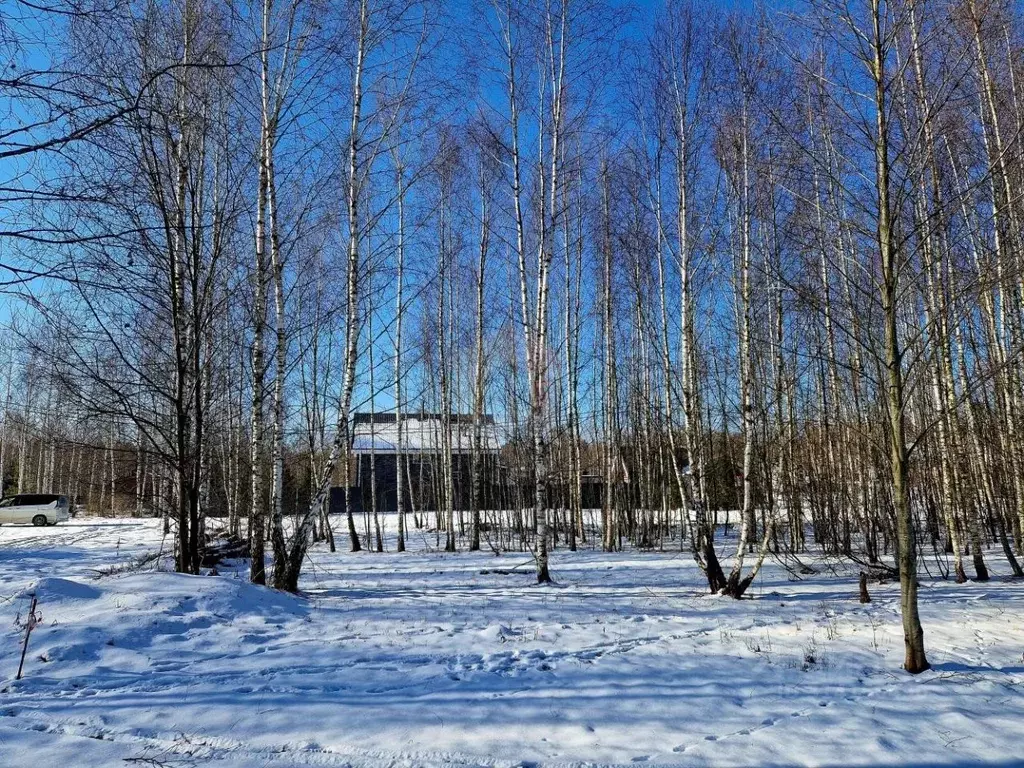 Участок в Московская область, Сергиево-Посадский городской округ, ... - Фото 0