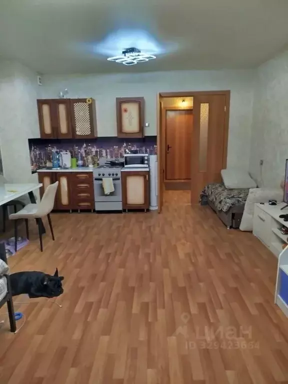 Студия Красноярский край, Красноярск Свердловская ул., 15В (36.6 м) - Фото 2