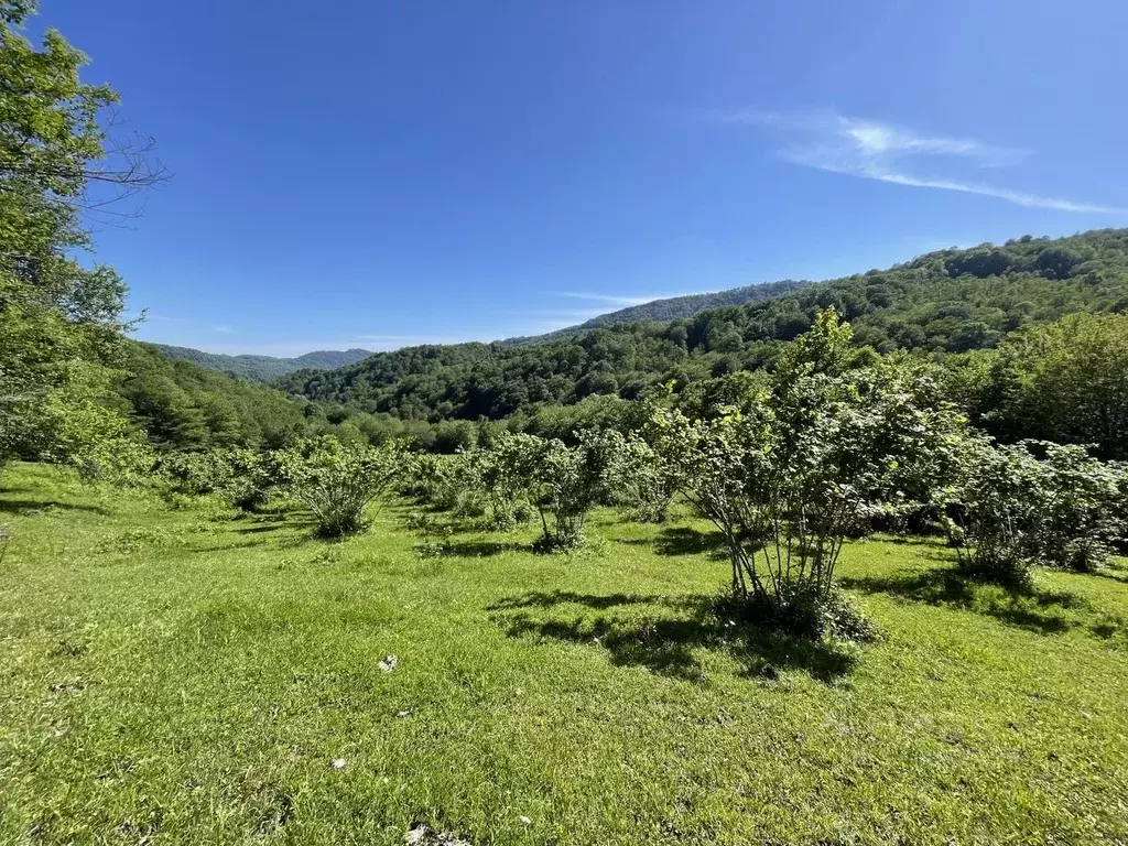Участок в Краснодарский край, Сочи городской округ, с. Ермоловка  ... - Фото 1