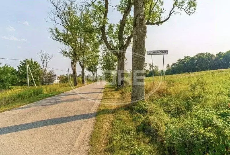 Участок в Калининградская область, Гурьевский муниципальный округ, ... - Фото 2