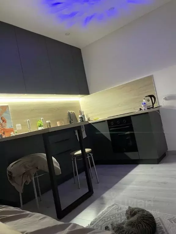 Студия Татарстан, Зеленодольский район, Осиновское с/пос, с. Осиново ... - Фото 1