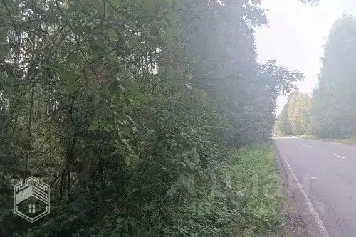 Участок в Новгородская область, Новгородский район, Бронницкое с/пос, ... - Фото 2