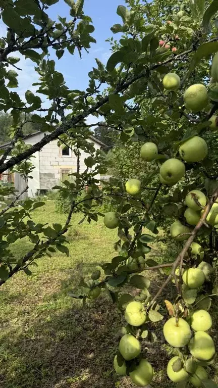 Дом в Кировская область, Слободской район, Шиховское с/пос, Надежда-5 ... - Фото 1