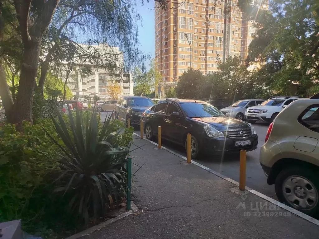 Помещение свободного назначения в Краснодарский край, Новороссийск ... - Фото 1