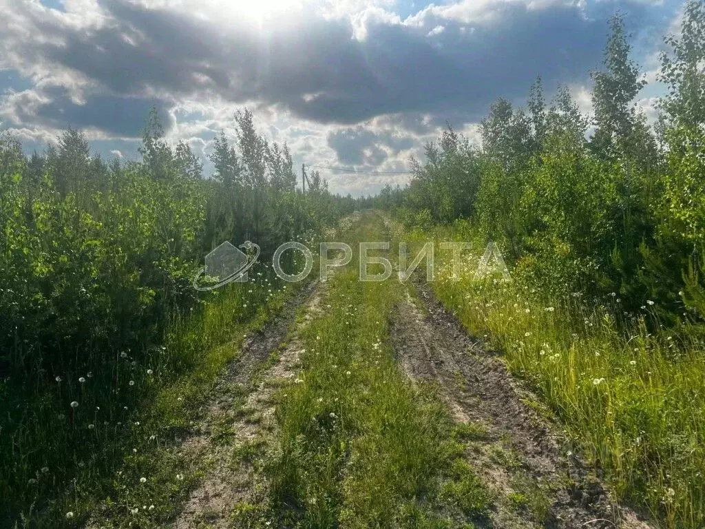 Участок в Свердловская область, Тугулым пгт  (12.5 сот.) - Фото 1