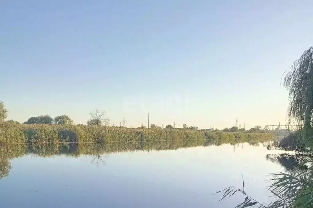 Участок в Белгородская область, Шебекино Золотой ранет дп,  (11.0 ... - Фото 2