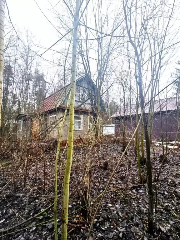 Участок в Ленинградская область, Всеволожский район, Свердловское ... - Фото 0