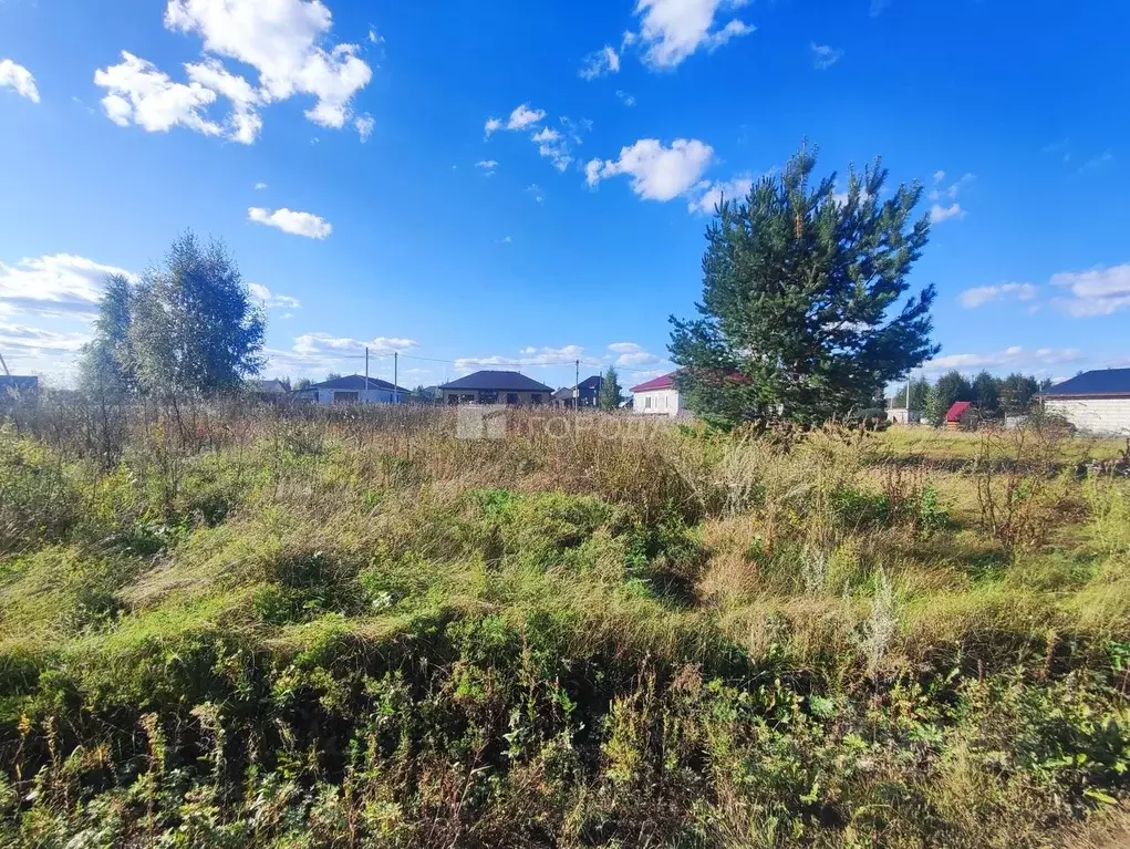 Участок в Новосибирская область, Новосибирский район, с. Верх-Тула ул. ... - Фото 2