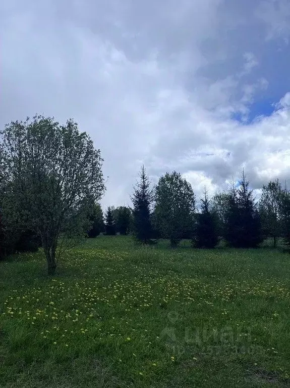 Участок в Московская область, Можайский муниципальный округ, Ясная ... - Фото 1