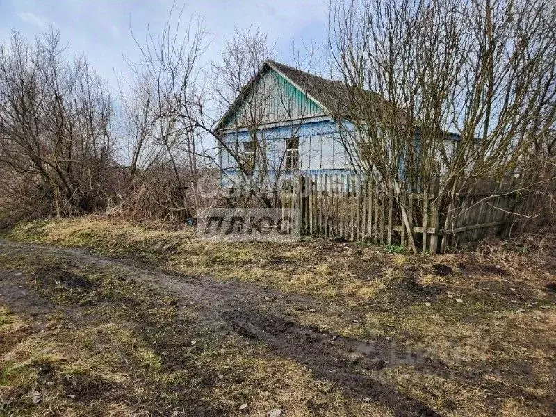 Дом в Курская область, Золотухинский район, Донской сельсовет, с. ... - Фото 2