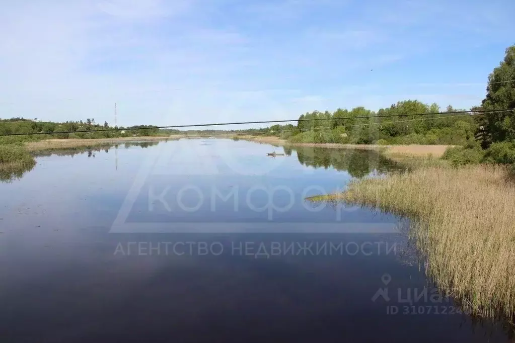 Участок в Ленинградская область, Приозерский район, пос. Севастьяново ... - Фото 1