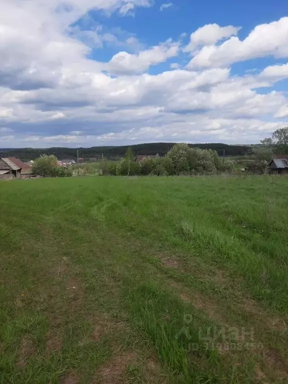 Участок в Пермский край, Суксунский муниципальный округ, с. Брехово ... - Фото 1