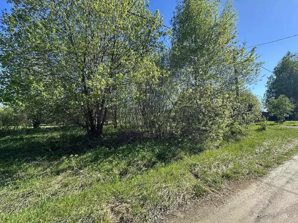 Участок в Ярославская область, Переславль-Залесский муниципальный ... - Фото 0