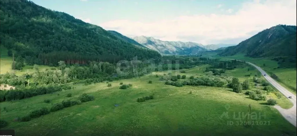 Участок в Алтай, Шебалинский район, с. Мыюта Российская ул. (11.1 ... - Фото 1