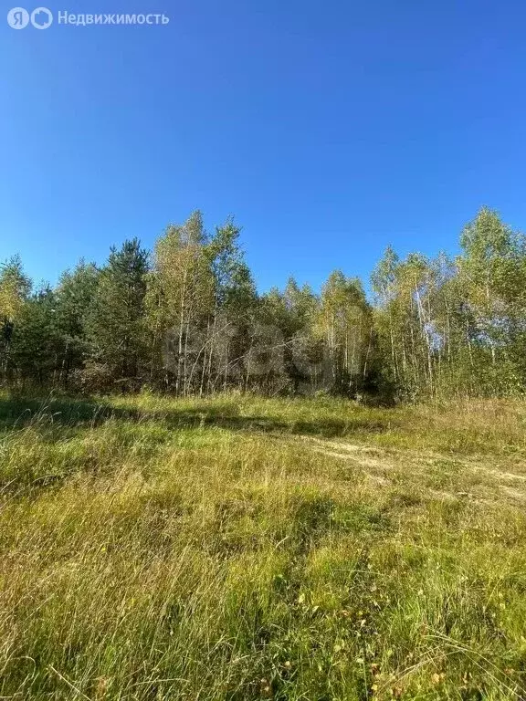 Участок в Выгоничский район, Хмелевское сельское поселение, деревня ... - Фото 0