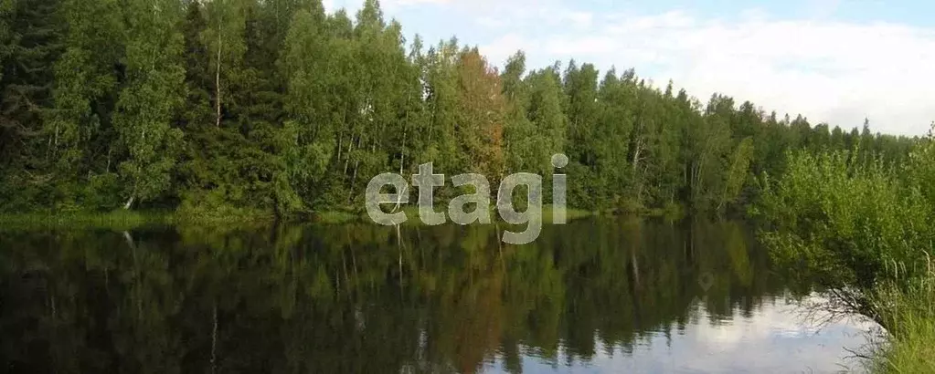 Участок в Ярославская область, с. Большое  (98.54 сот.) - Фото 2