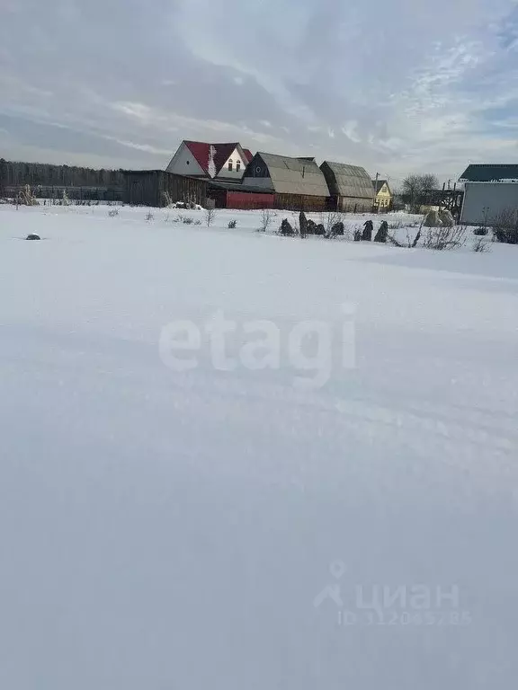 Участок в Тюменская область, Тюменский район, с. Онохино ул. Касьянова ... - Фото 0