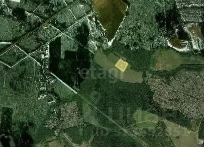 Участок в Калужская область, Жуковский муниципальный округ, Чубарово ... - Фото 2