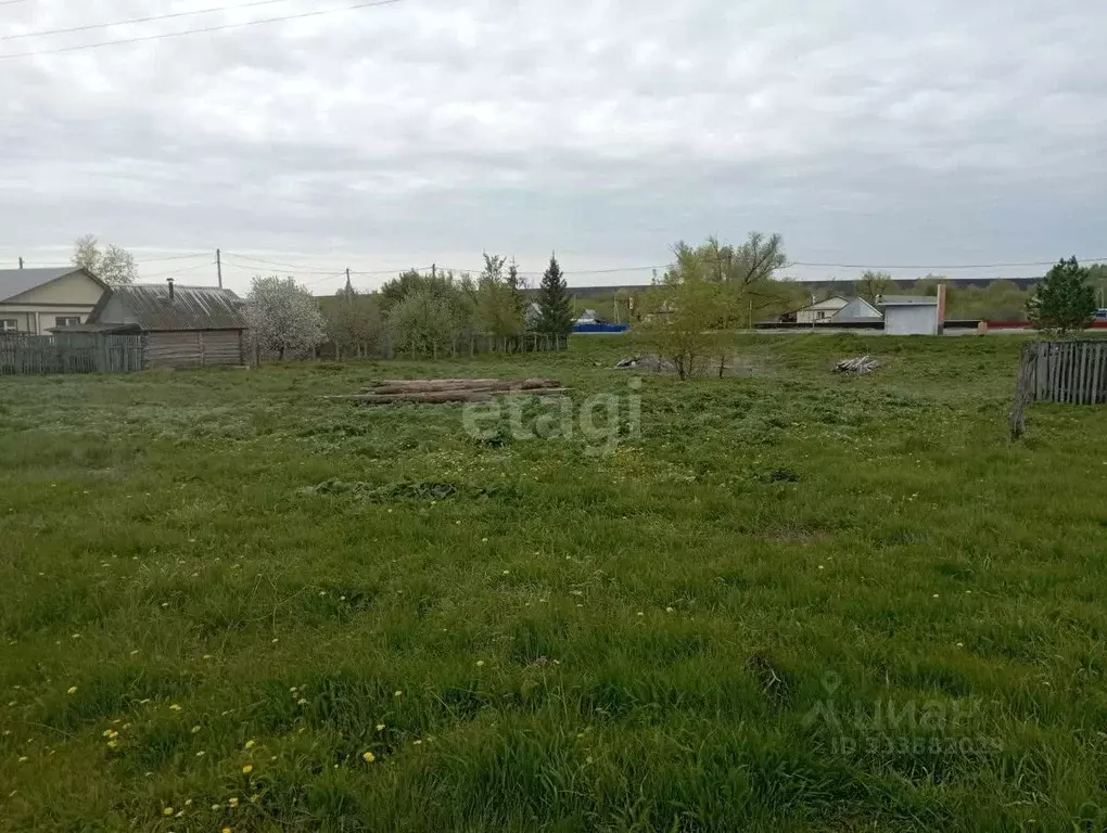 Участок в Башкортостан, Стерлибашевский район, Старокалкашевский ... - Фото 1