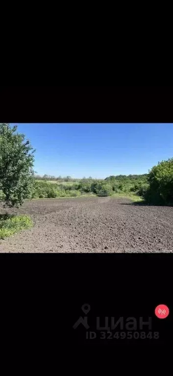 Дом в Белгородская область, Алексеевский муниципальный округ, с. ... - Фото 1
