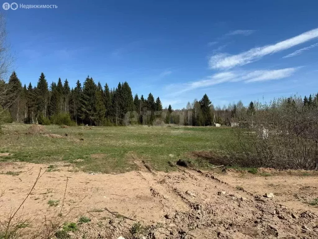 Участок в село Мысы, Безымянный проезд (1001 м) - Фото 1