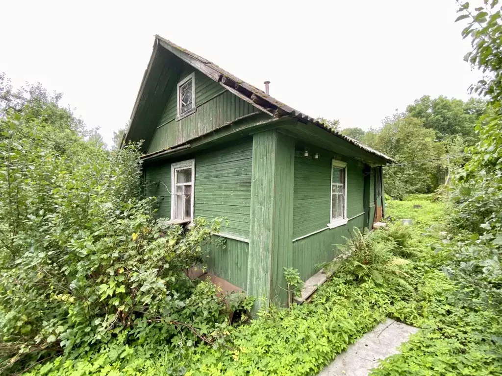 Дом в Псковская область, Гдов городское поселение, д. Котеницы  (18 м) - Фото 1