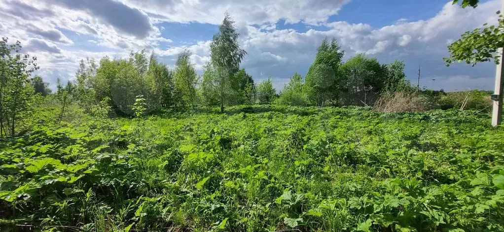 Участок 8 сот. (ИЖС) - Фото 1