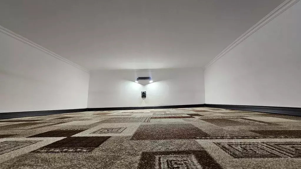 Студия Санкт-Петербург ул. Крупской, 24 (14.0 м) - Фото 2