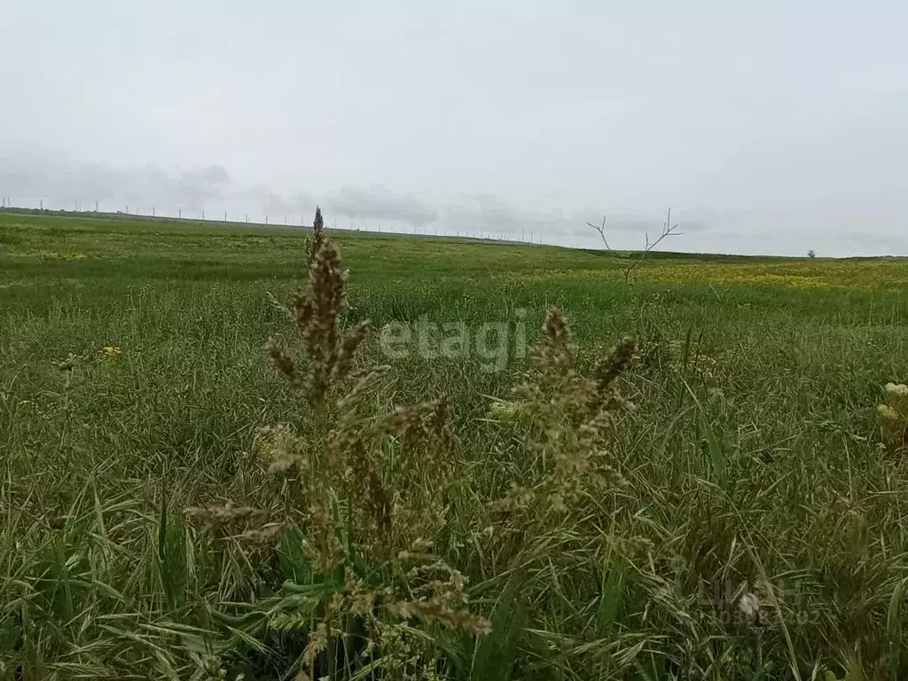 Участок в Крым, Ленинский район, Белинское с/пос, с. Станционное ул. ... - Фото 1