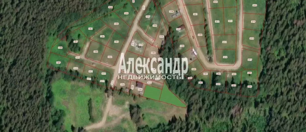 Участок в Ленинградская область, Выборгский район, Приморское ... - Фото 1