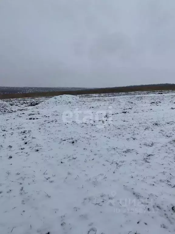 Участок в Белгородская область, Белгородский район, Головинское с/пос, ... - Фото 0