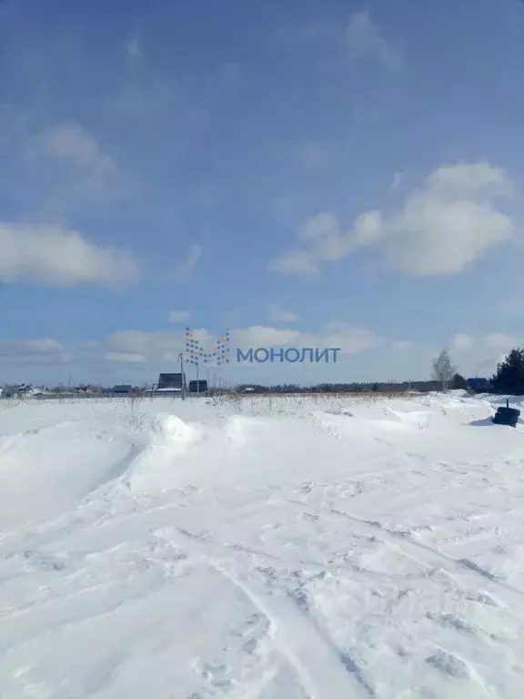 Участок в Нижегородская область, Богородский муниципальный округ, д. ... - Фото 1