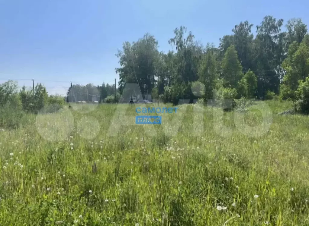 Участок 24 га (СНТ, ДНП) - Фото 1