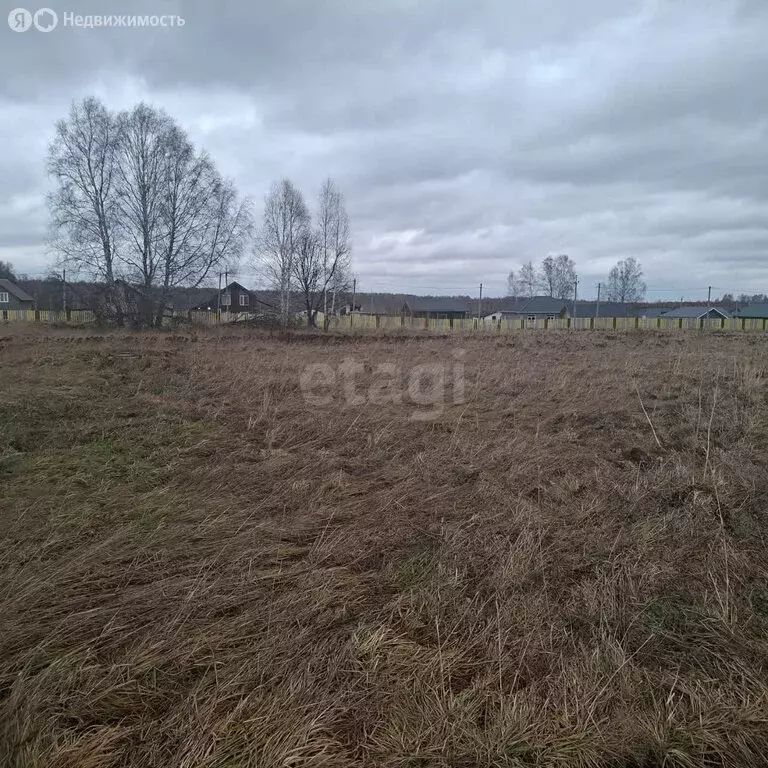 Участок в Новосибирский район, село Плотниково (10 м) - Фото 2