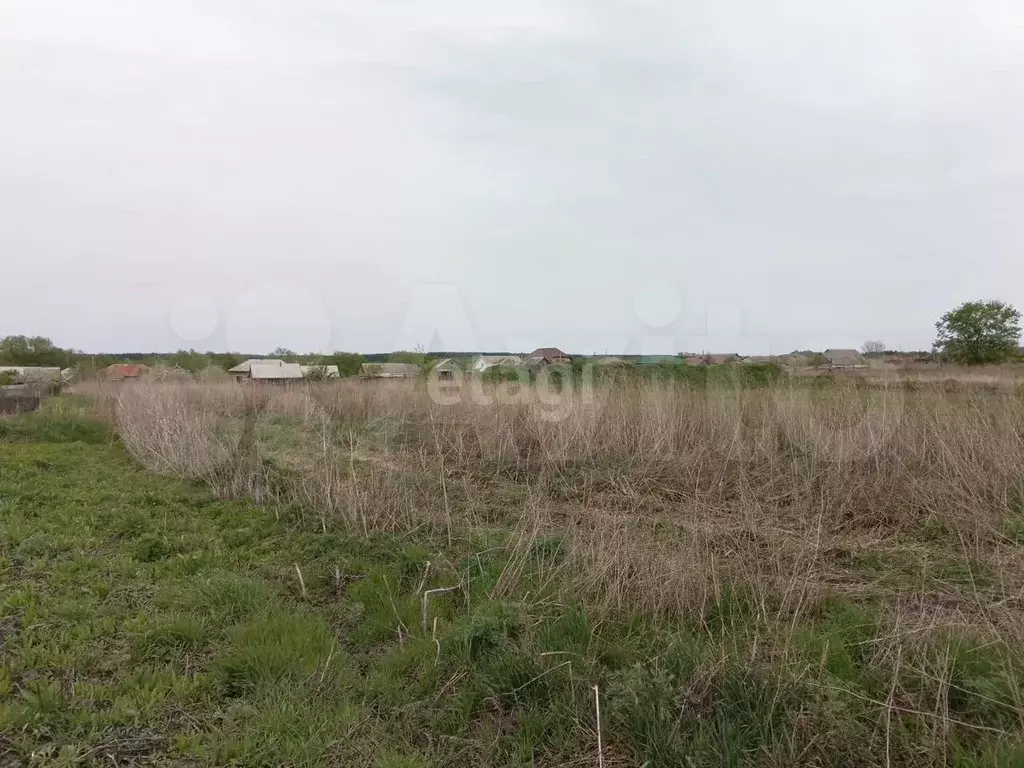 Участок 5,5 сот. (личное подсобное хозяйство (лпх)) - Фото 0
