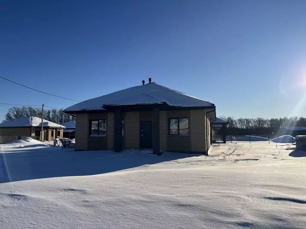 Коттедж в Омская область, Омский район, с. Пушкино ул. Александры ... - Фото 1