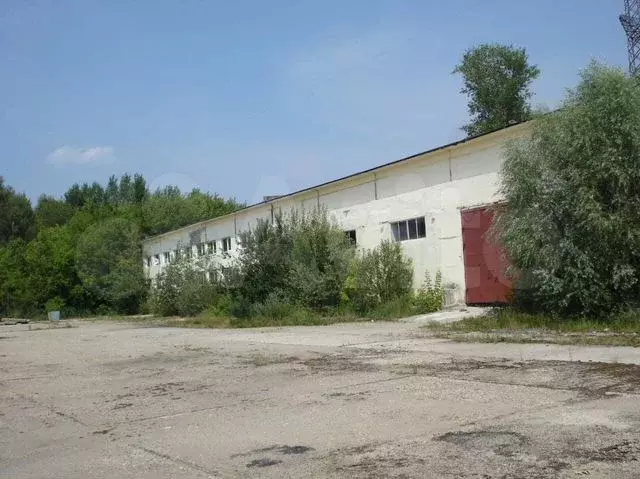 Производство 2000кв.м - Фото 0