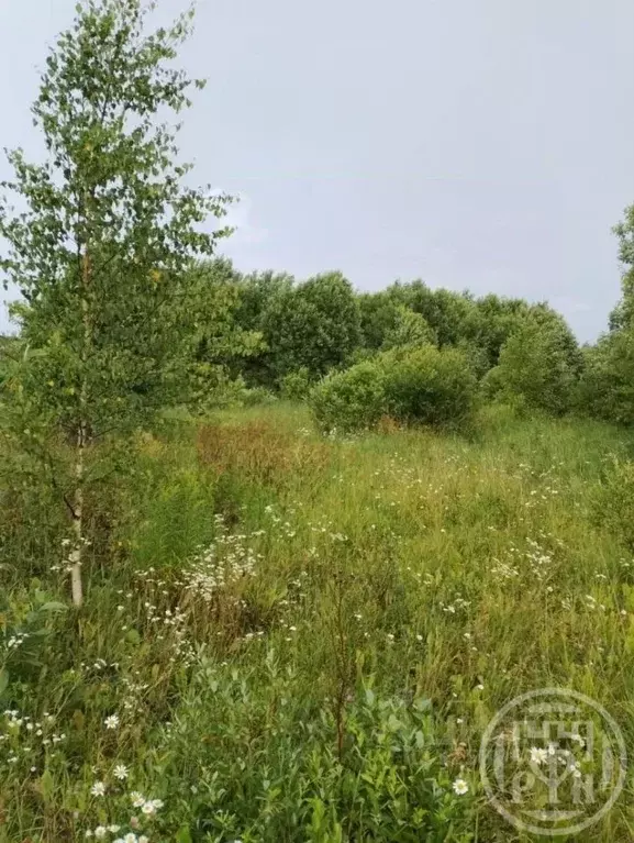 Участок в Ленинградская область, Лужский район, Заклинское с/пос, д. ... - Фото 2