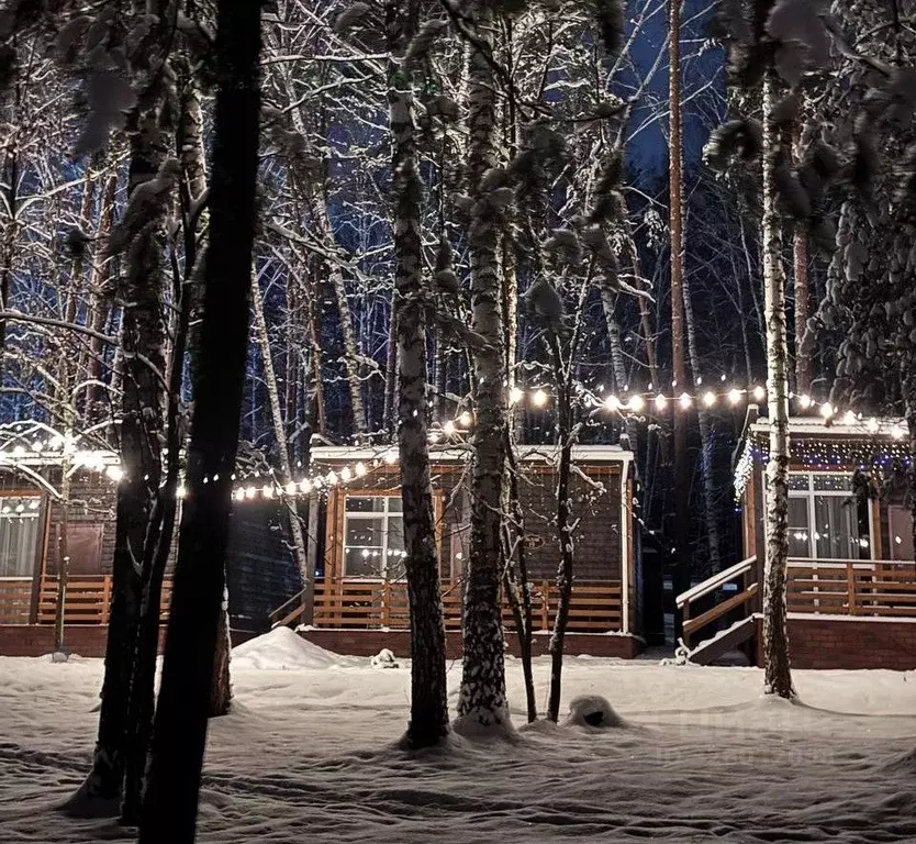 Дом в Нижегородская область, Нижний Новгород д. Студенец,  (50 м) - Фото 1