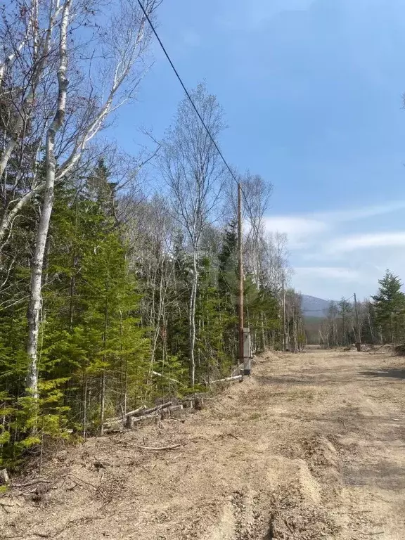 Участок в Сахалинская область, Южно-Сахалинск  (15.0 сот.) - Фото 1