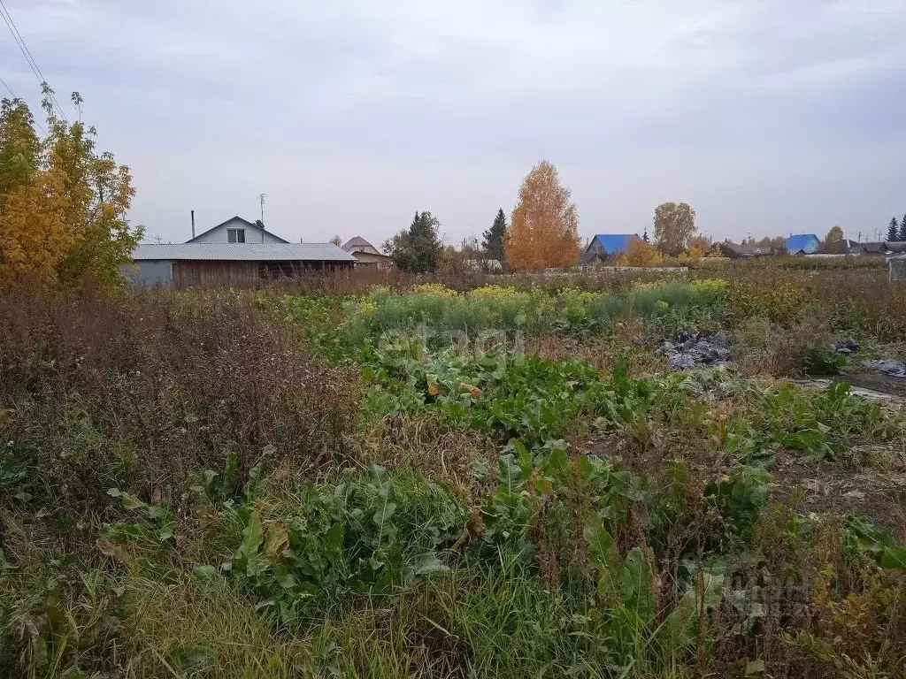 Купить Дом В Поселке Октябрьский Мошковского