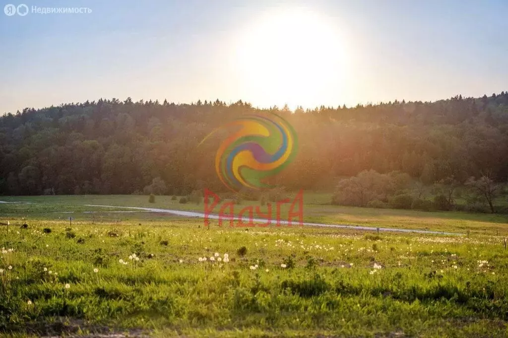 Участок в Ивановская область, Лежневское сельское поселение, село ... - Фото 2