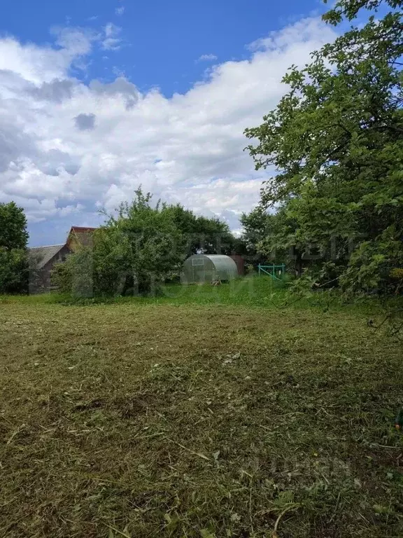 Дом в Новгородская область, Солецкий муниципальный округ, д. Дуброво ... - Фото 1