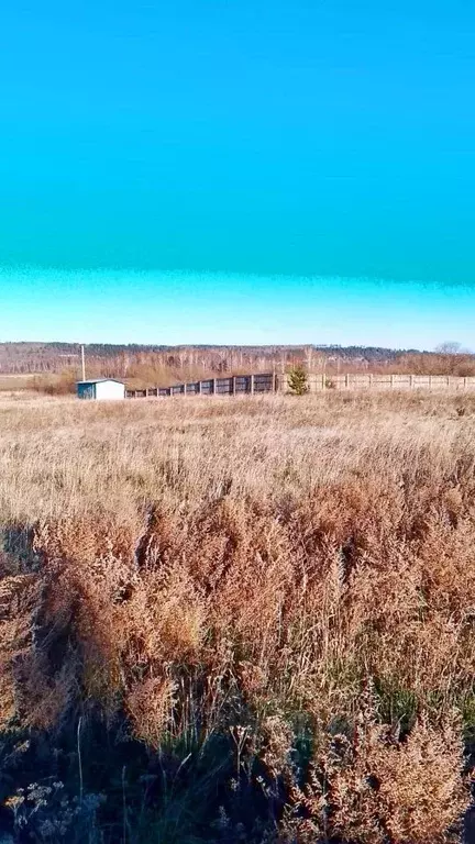 Участок в Иркутская область, Ангарский городской округ, д. Зуй пер. ... - Фото 2